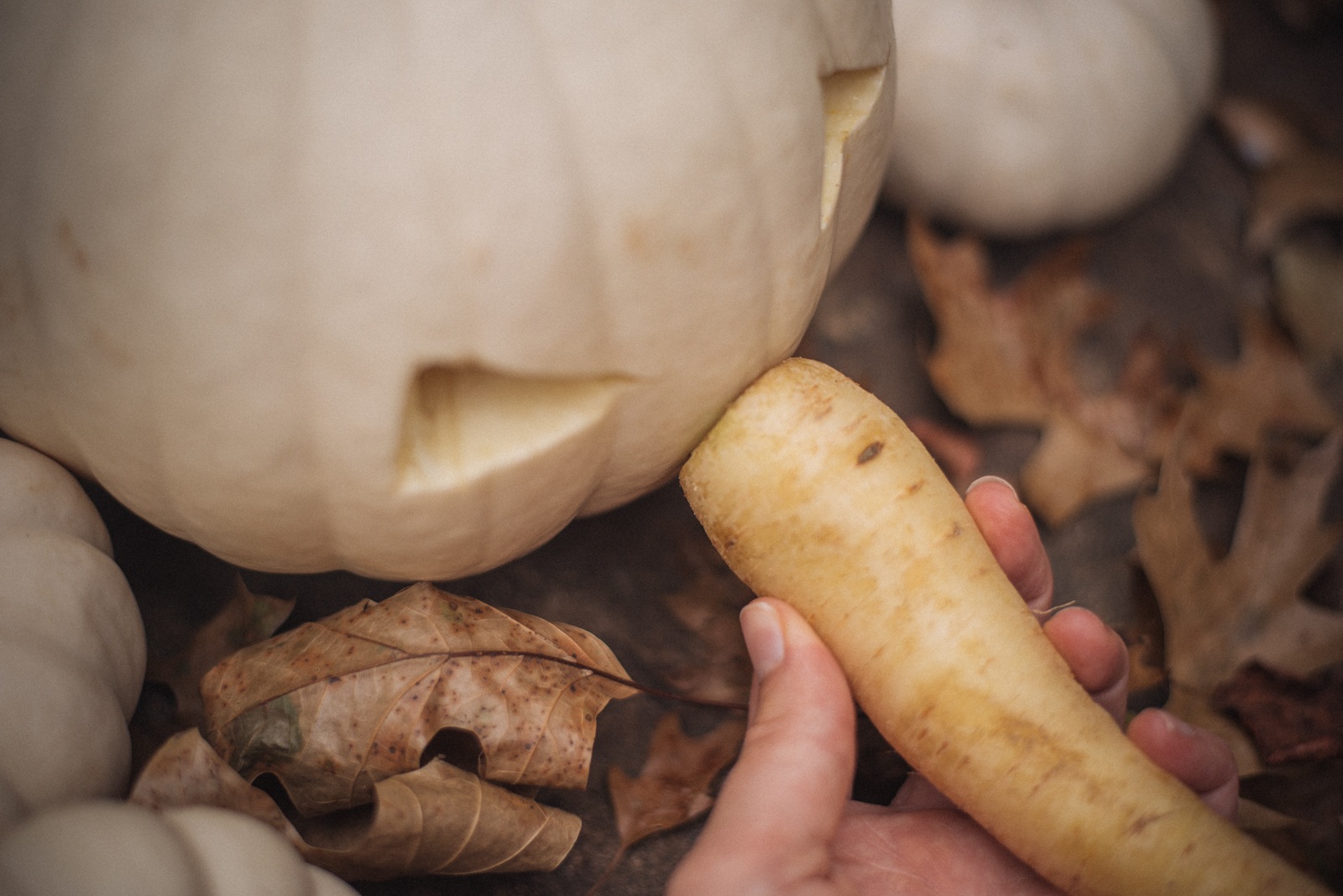 jack o lanterns ideas