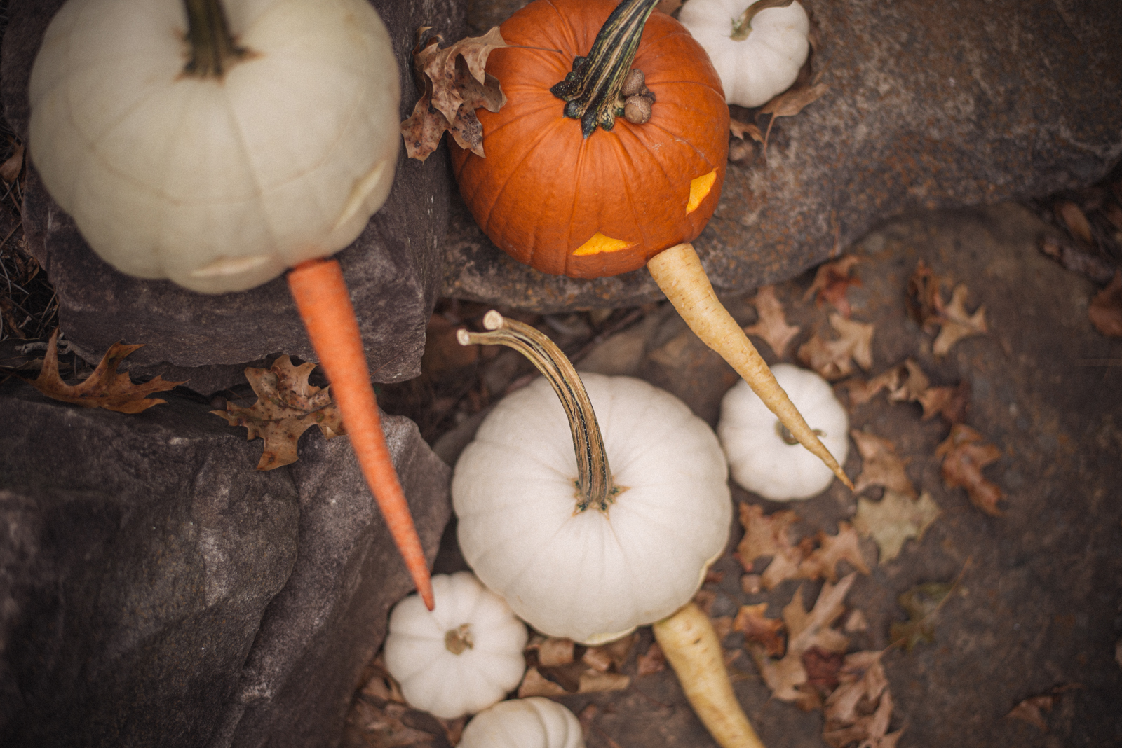 jack o lanterns patterns