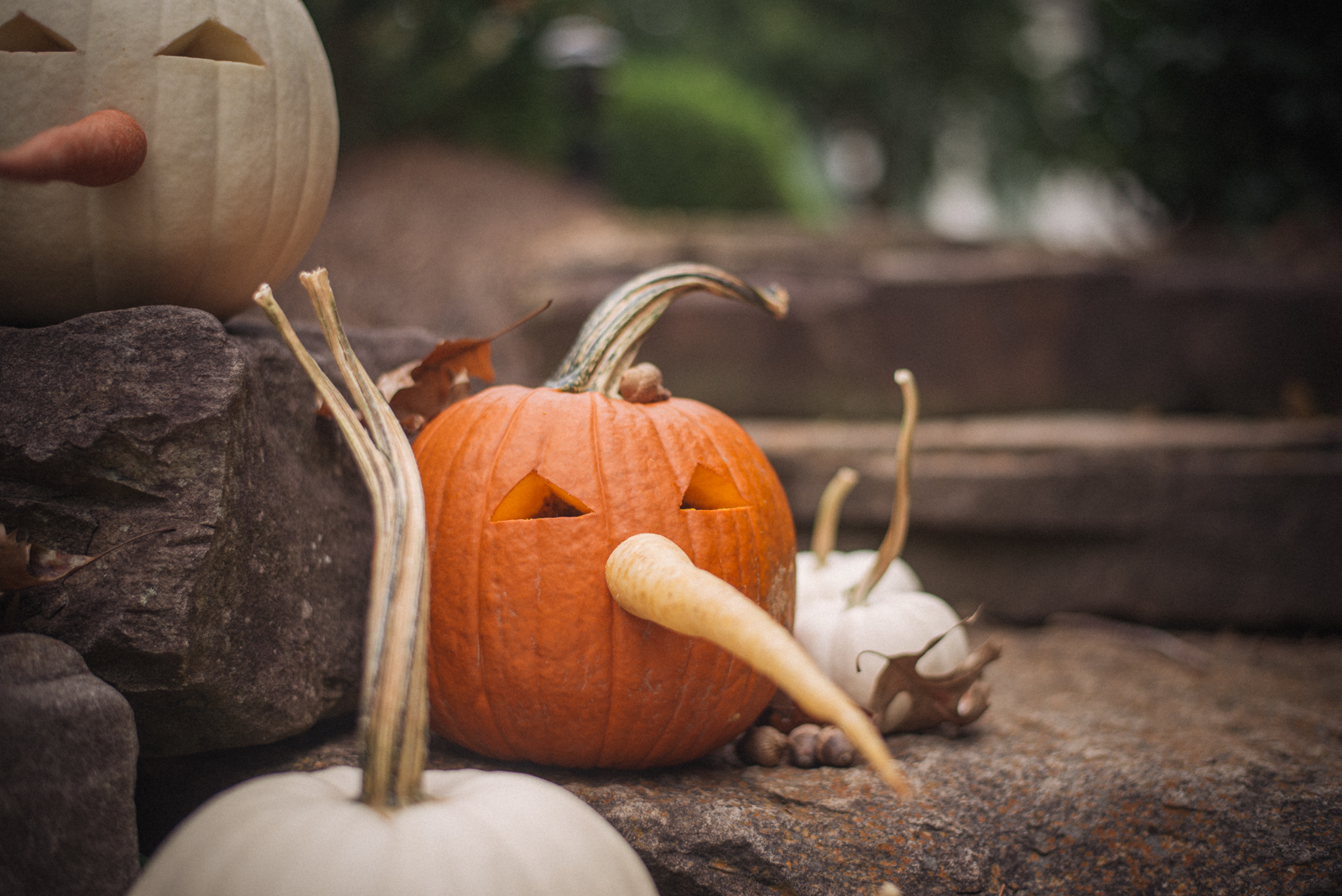 jack o lanterns photography