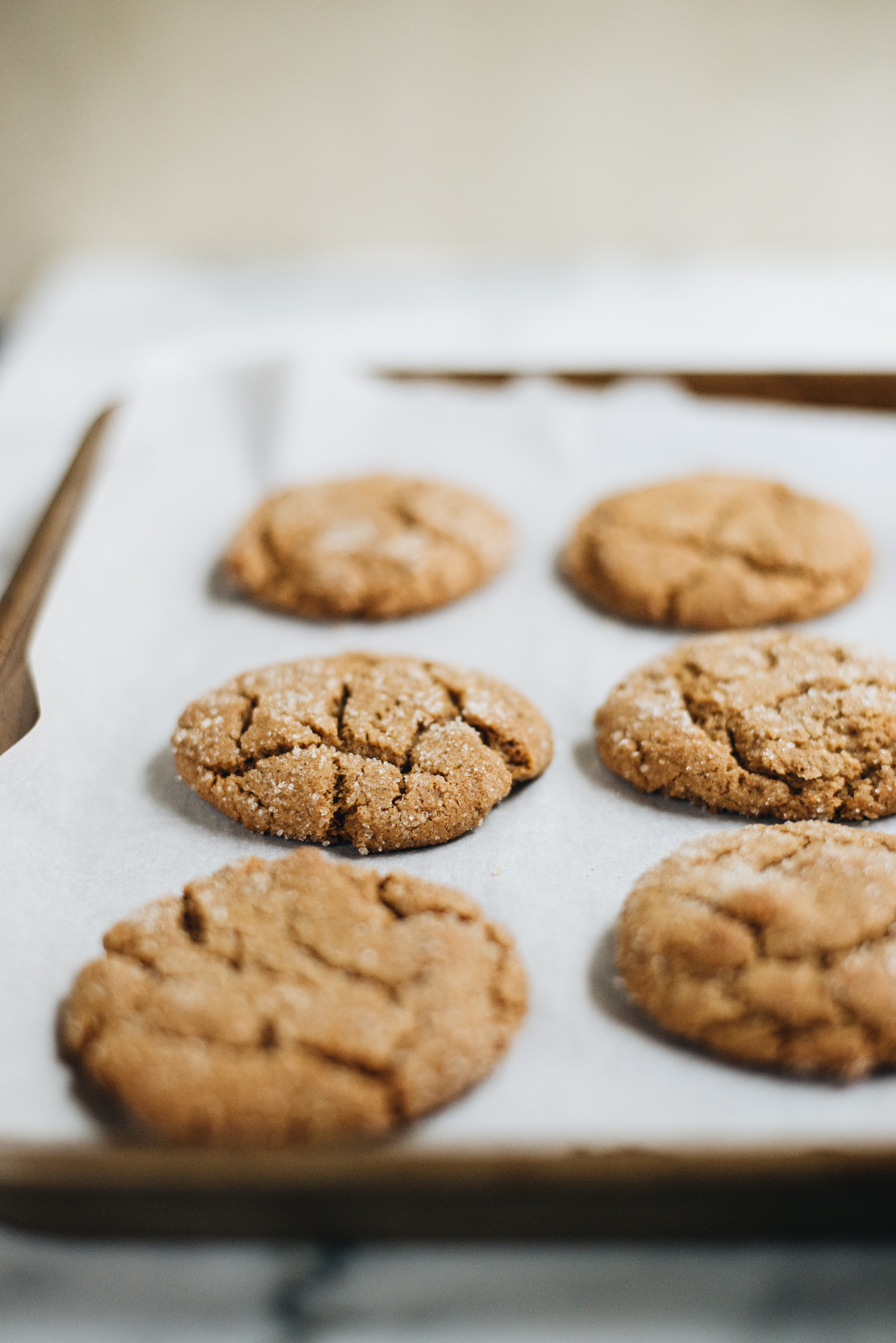 gingersnap cookies rolled in sugar on cookie sheet