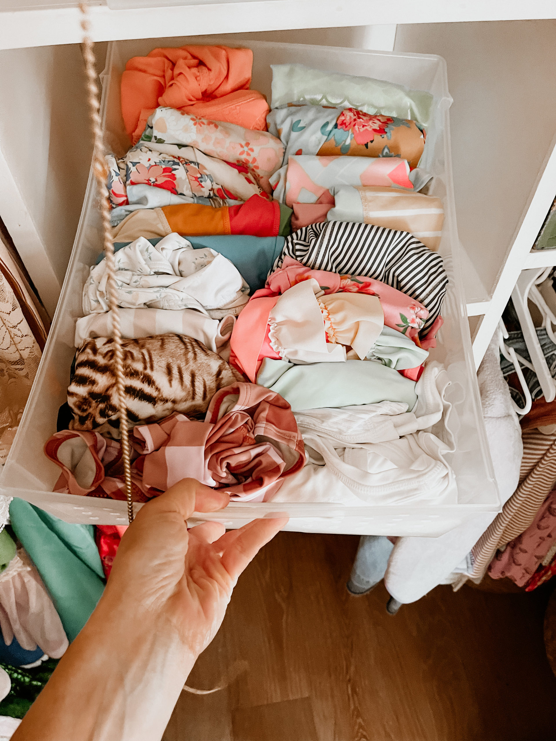 organized closet by color