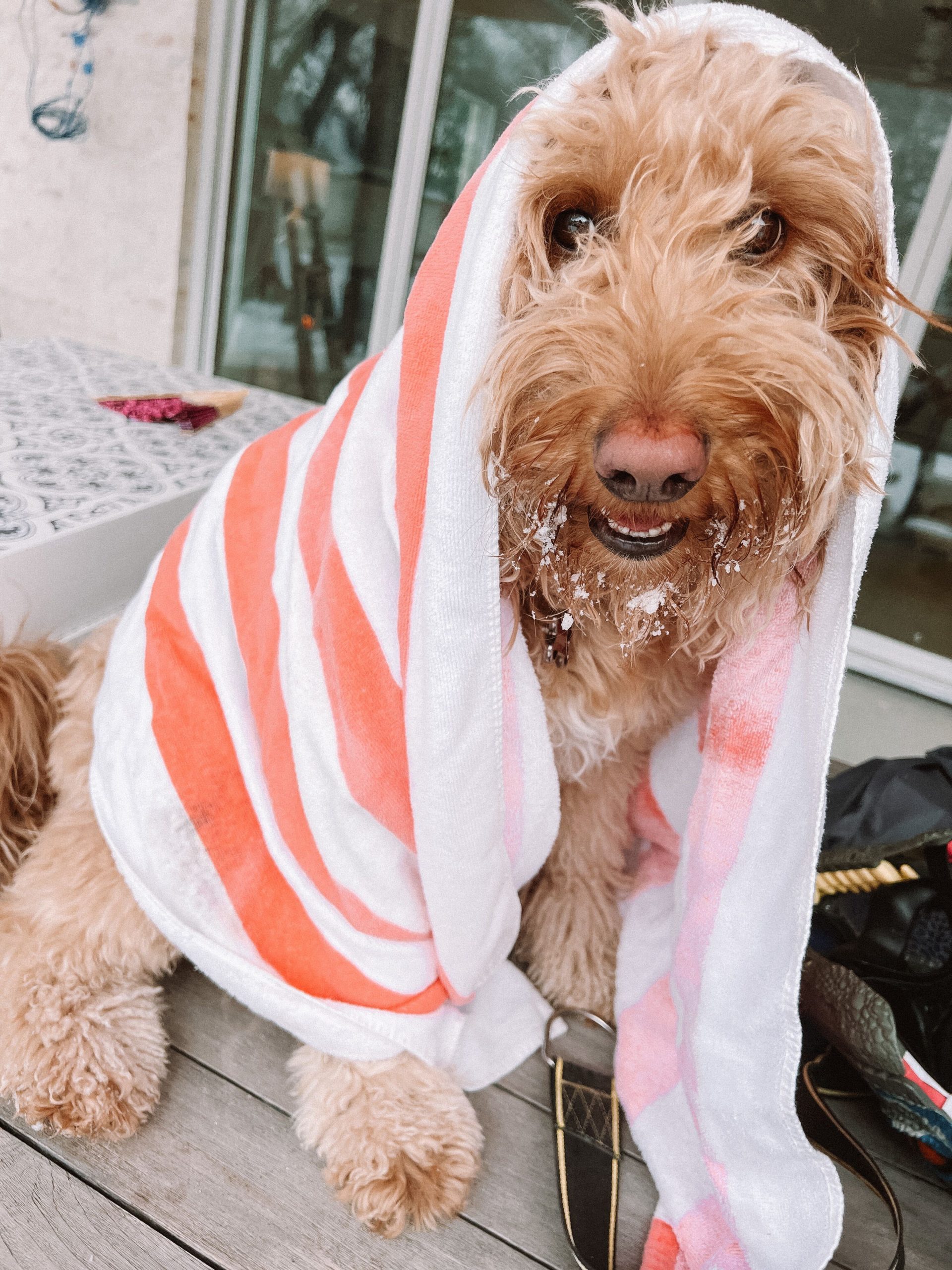 snow day aesthetic