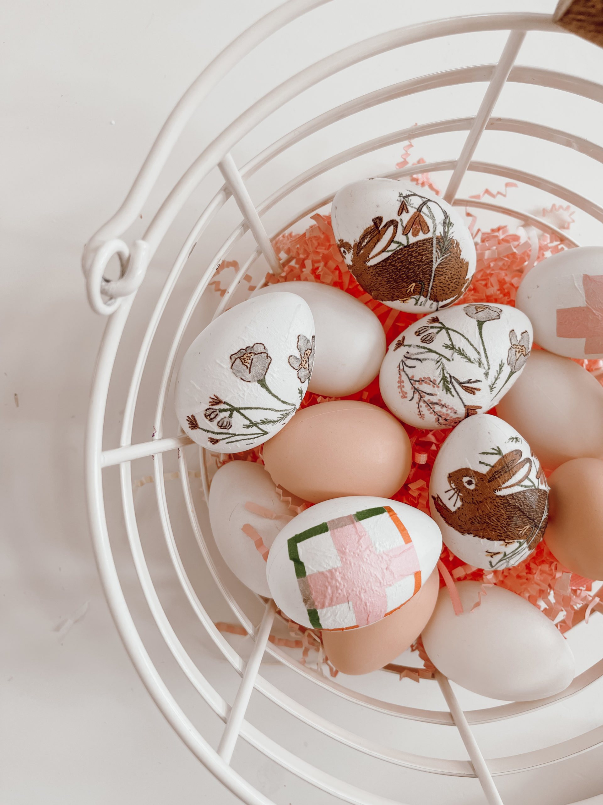 casey wiegand easter 