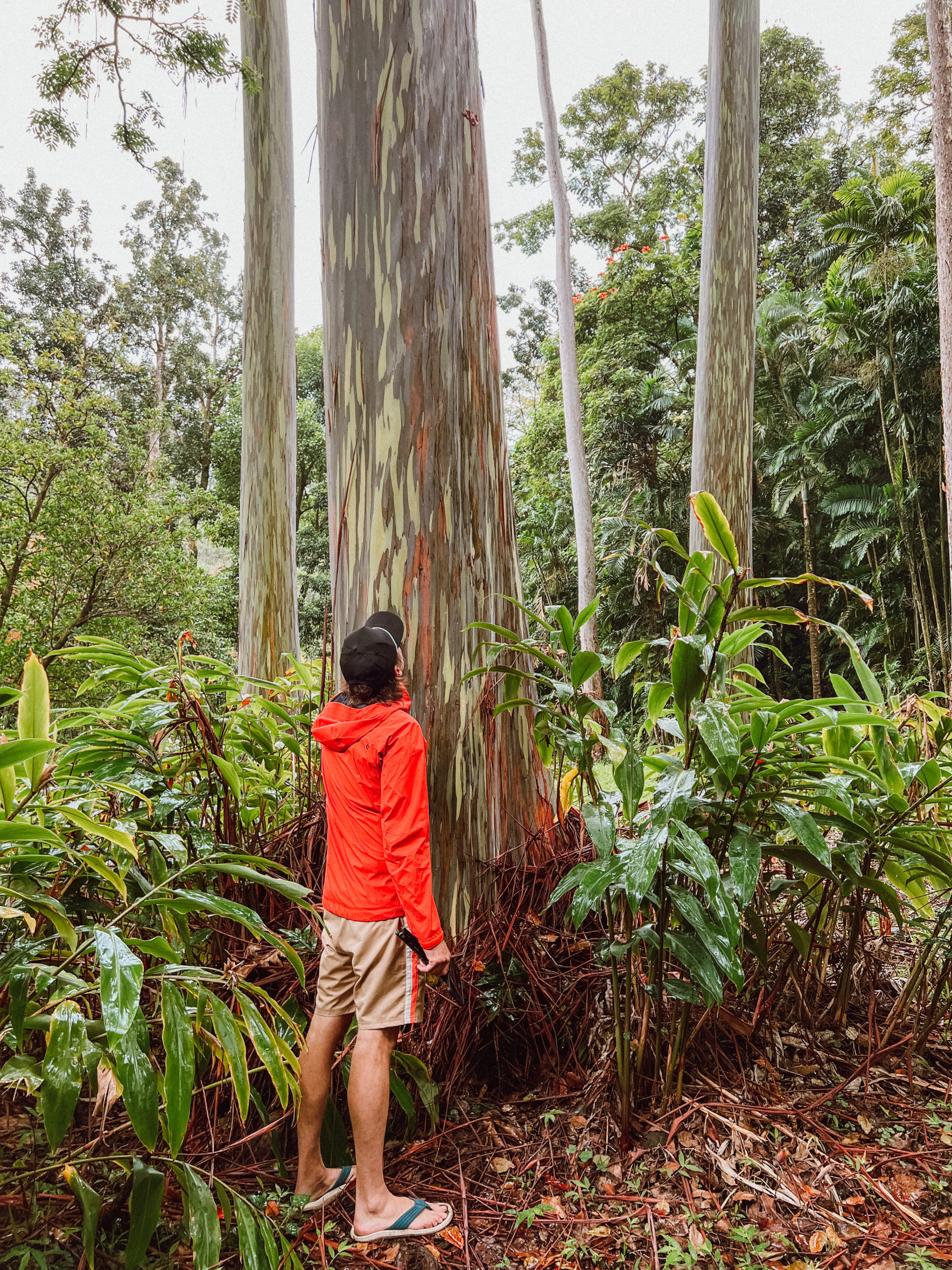 maui hawaii things to do 2