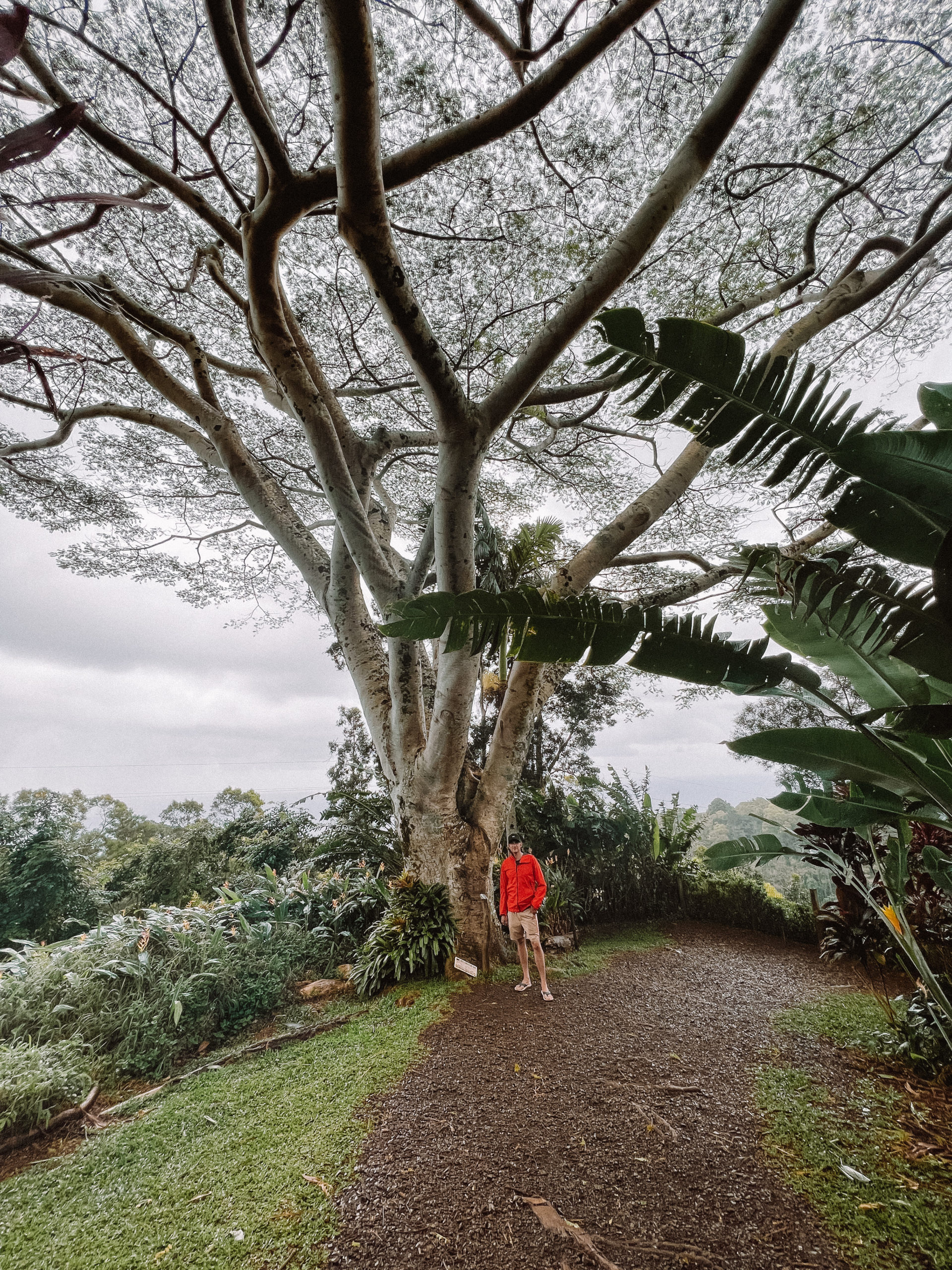 road to hana packing list
