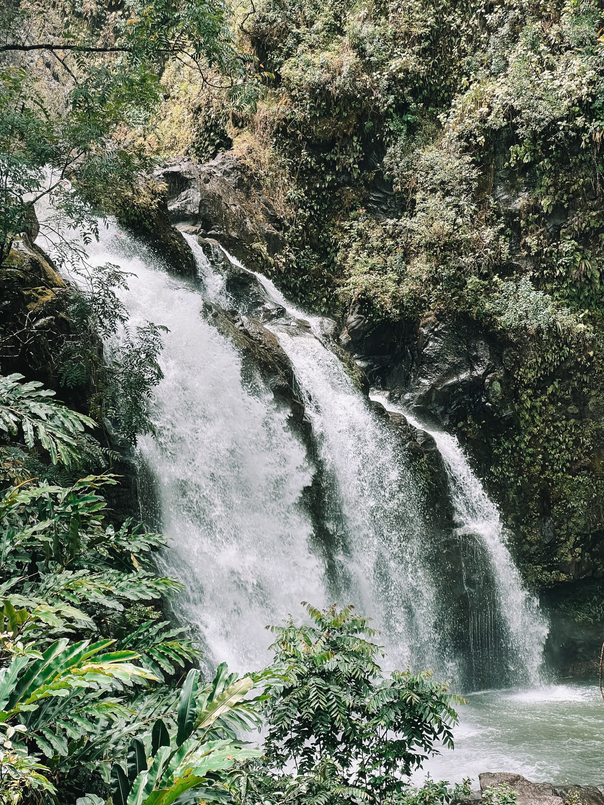 road to hana packing list