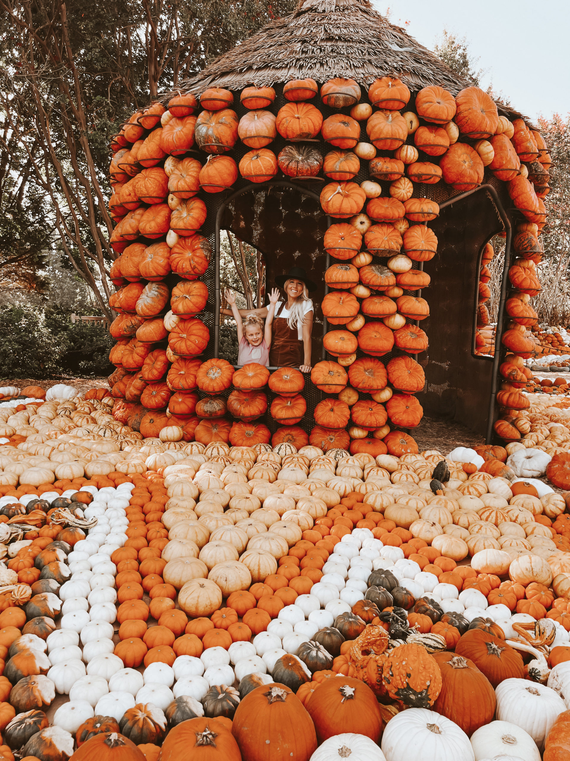 Casey Wiegand pumpkin patch outfit 