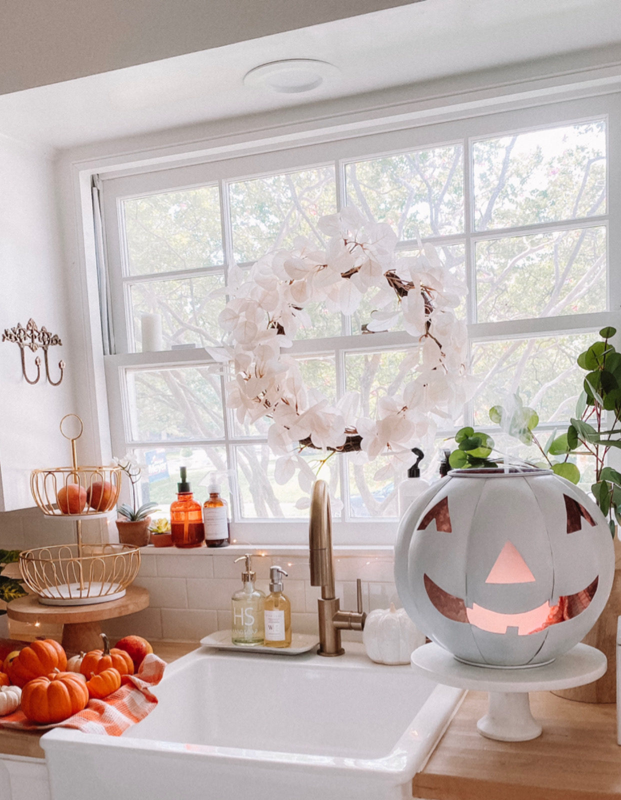 preserve pumpkins carving 