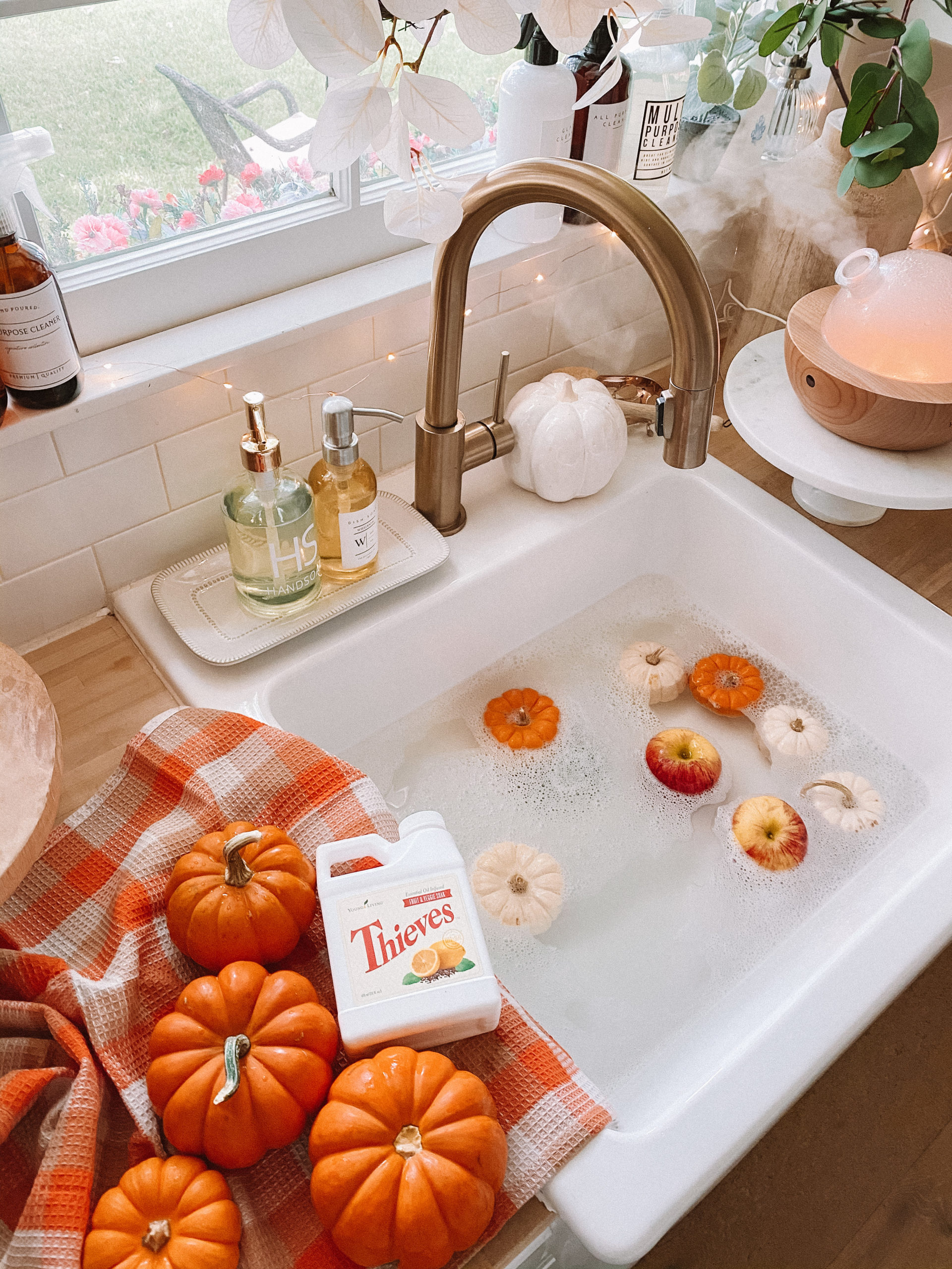 preserve pumpkins young living