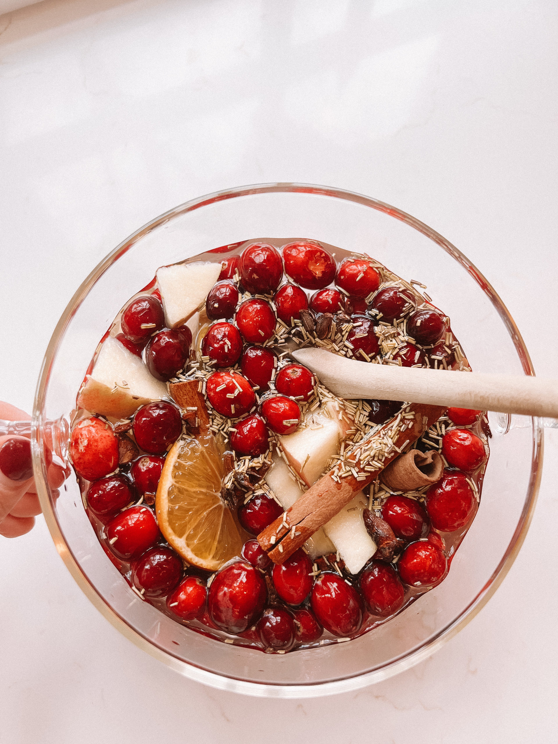 christmas stovetop potpourri