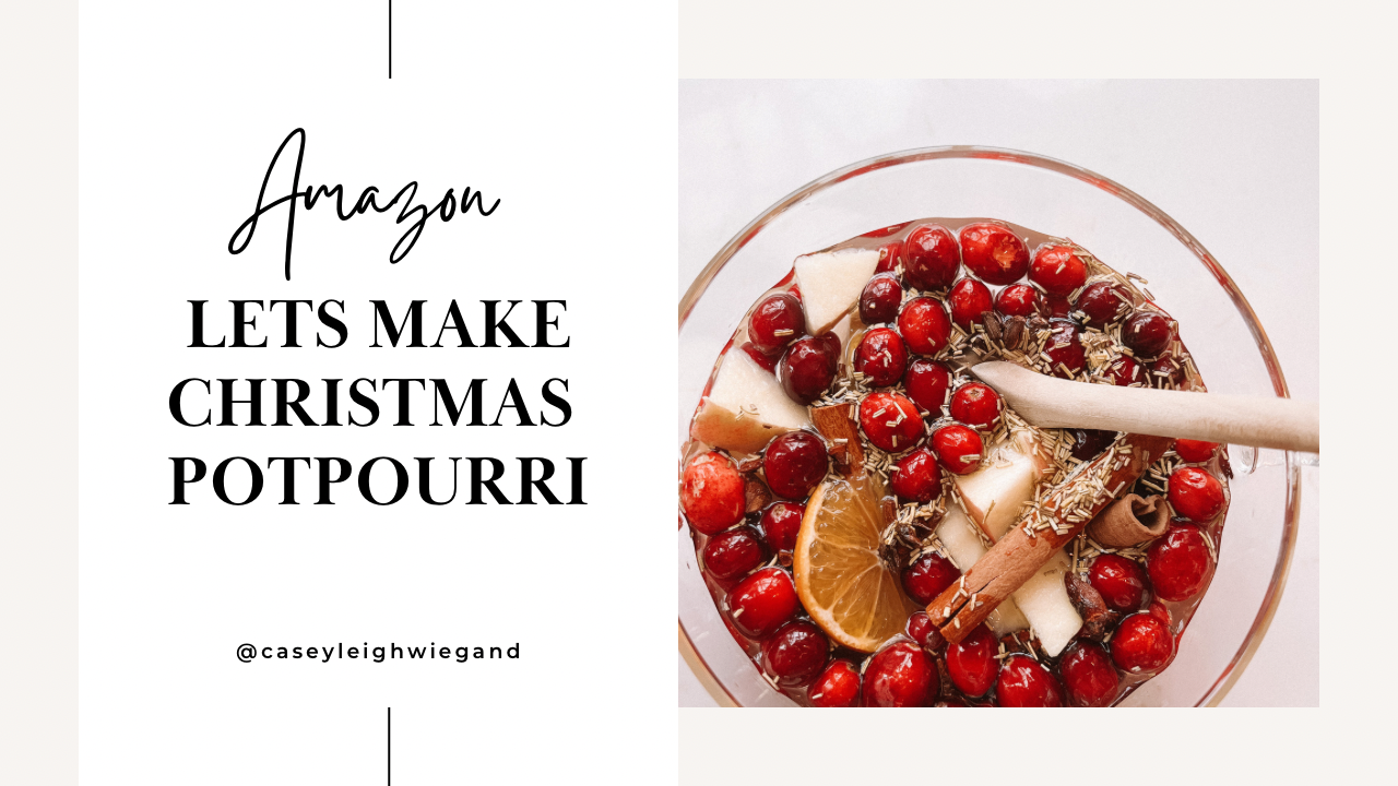 christmas stovetop potpourri gift