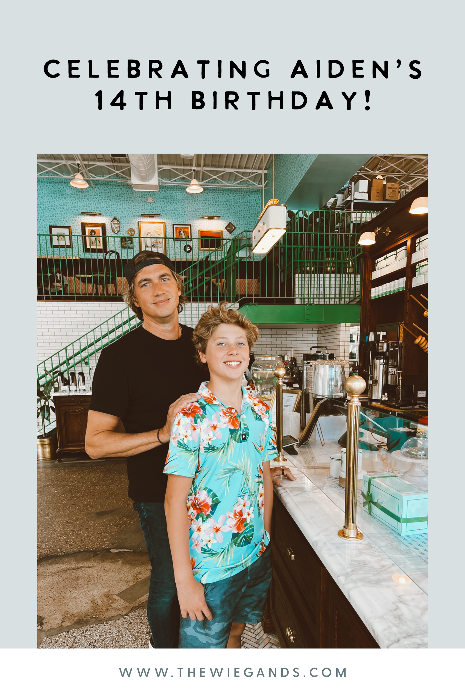 teen boy birthday ideas pin 1