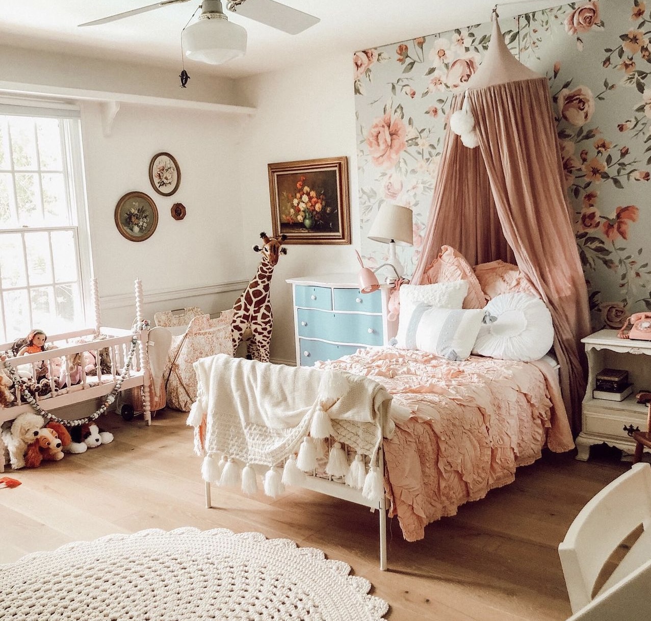 amazon finds room decor 1