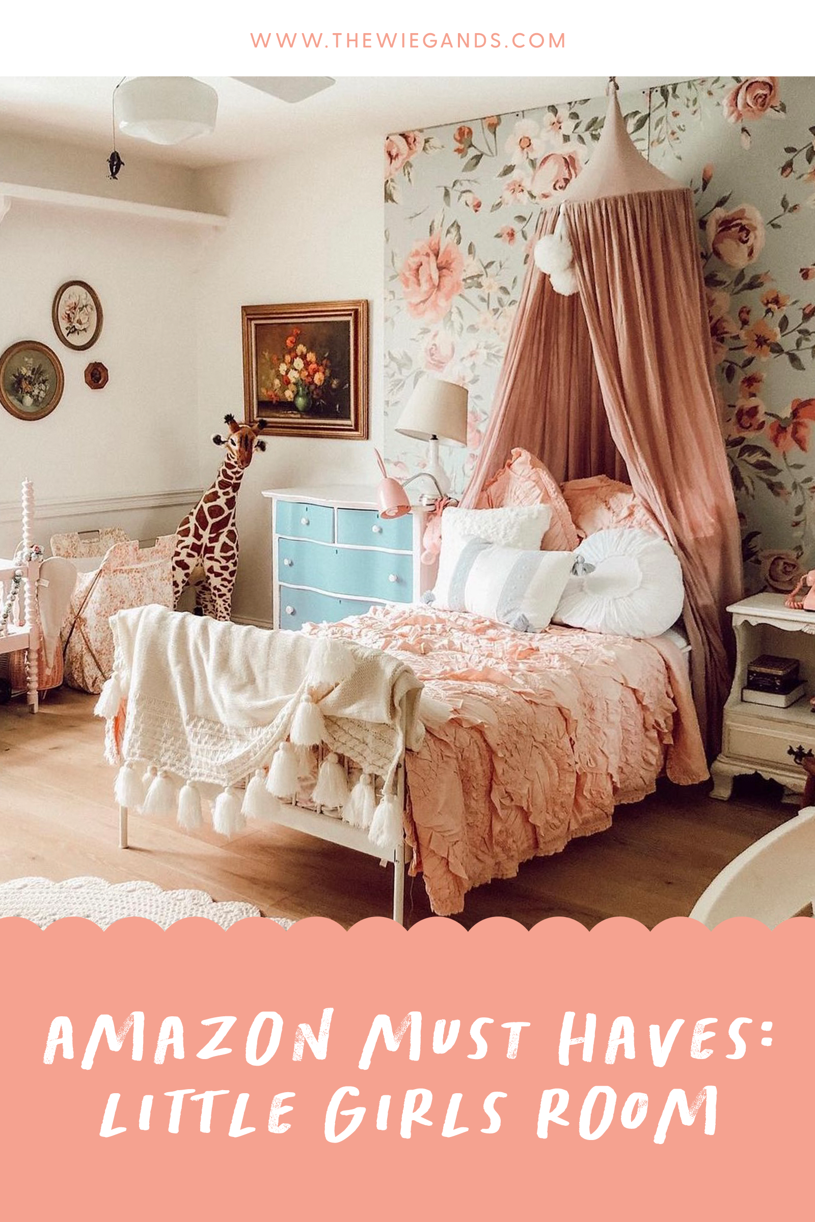 amazon finds room decor pin 3