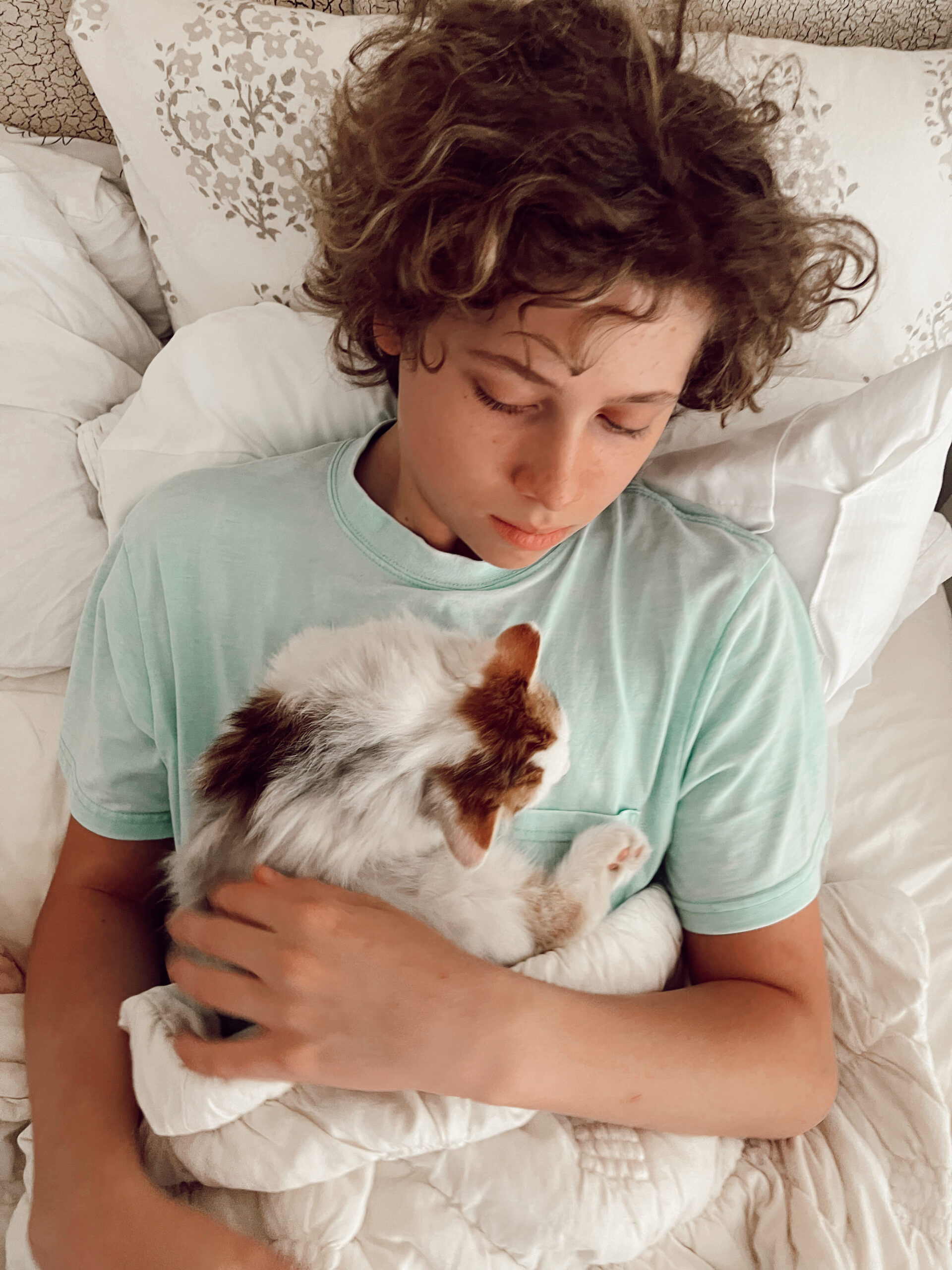 Casey Wiegand new kitten announcement