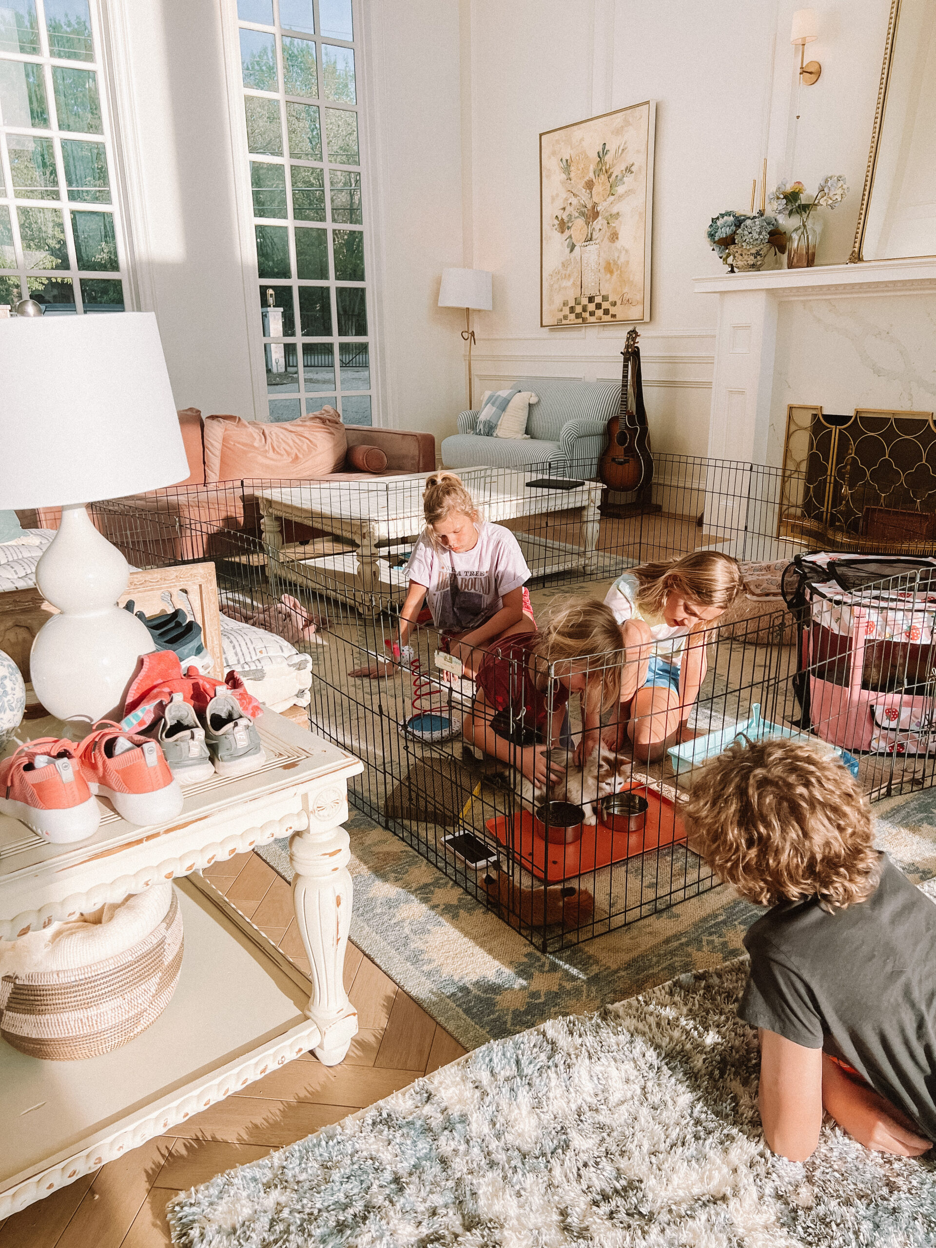 Casey Wiegand new kitten checklist