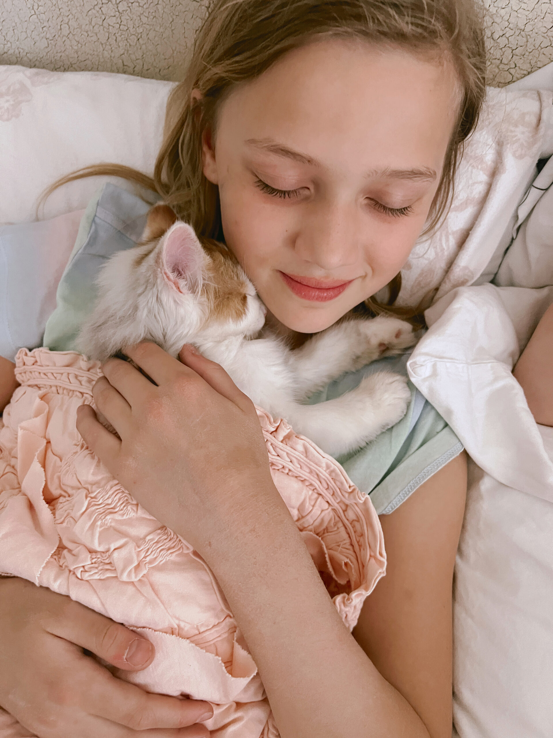 Casey Wiegand new kitten quotes