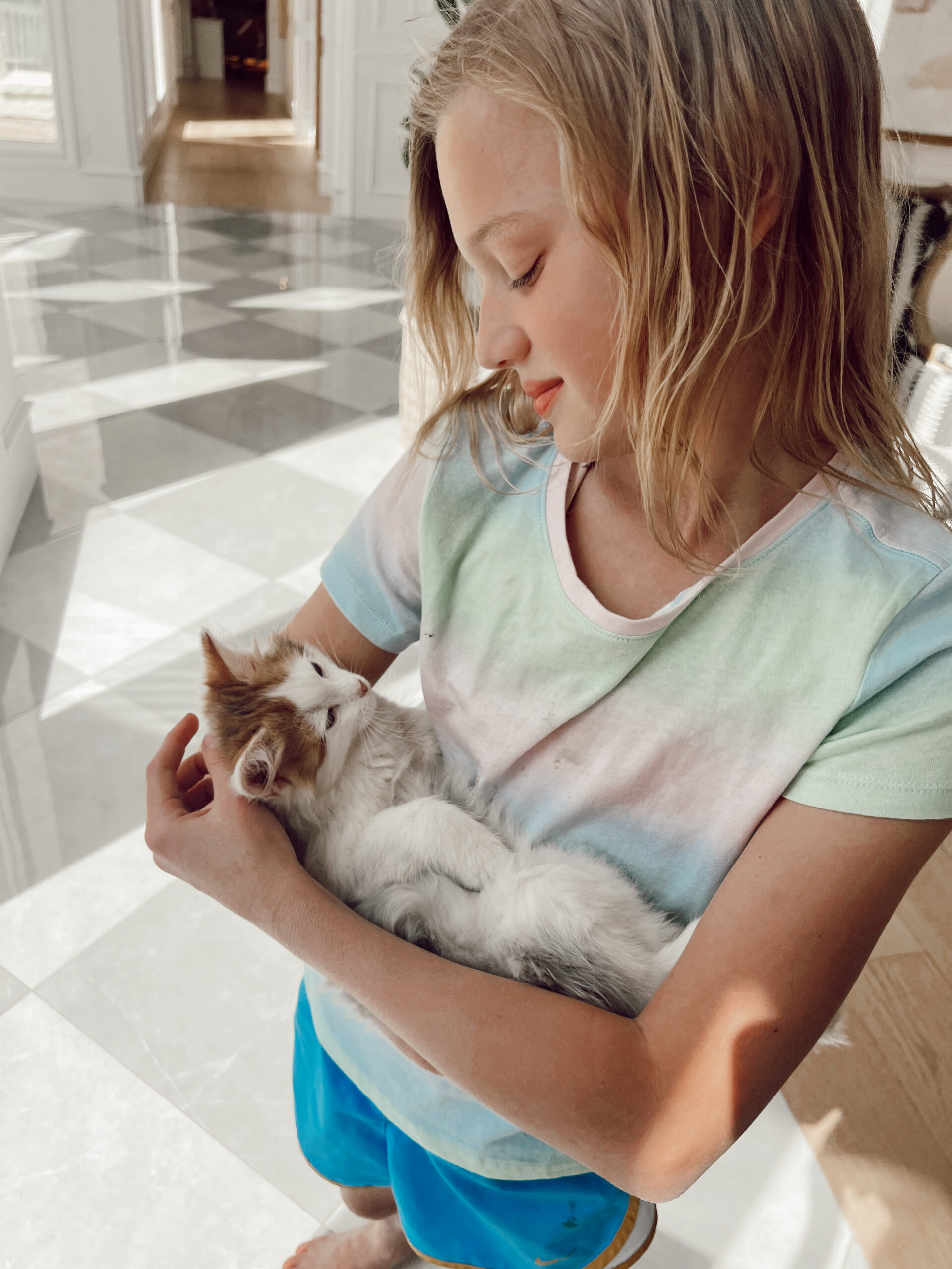 Casey Wiegand new kitten tips