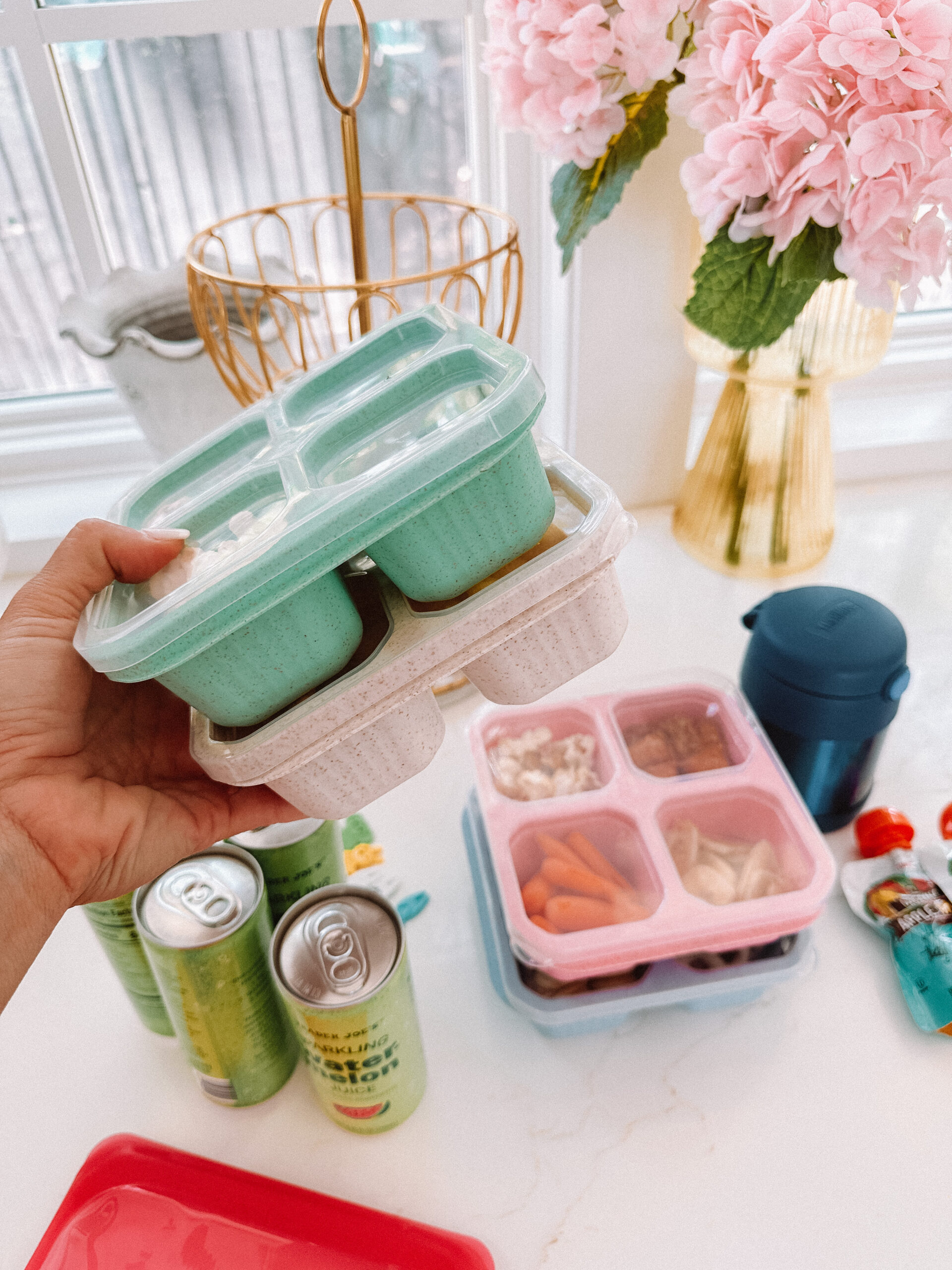 Casey Wiegand backpacks and lunchboxes