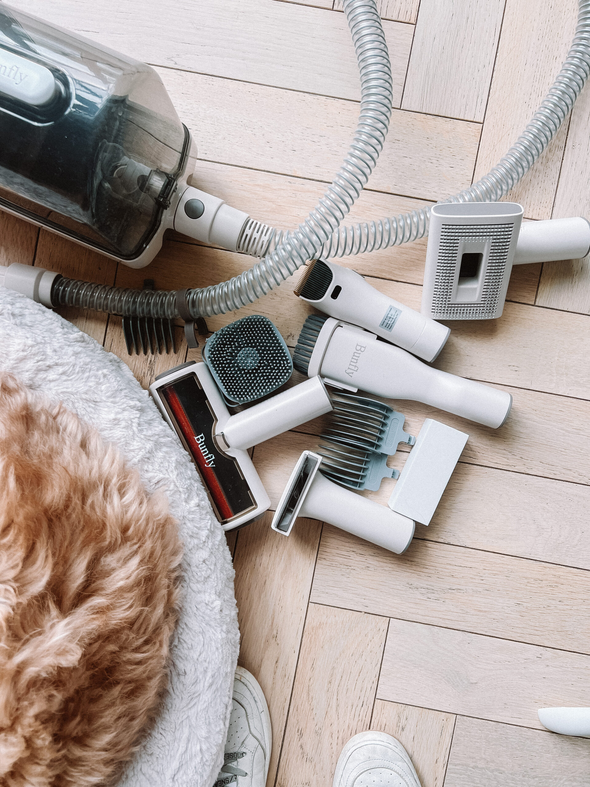 amazon pet must haves casey wiegand 5