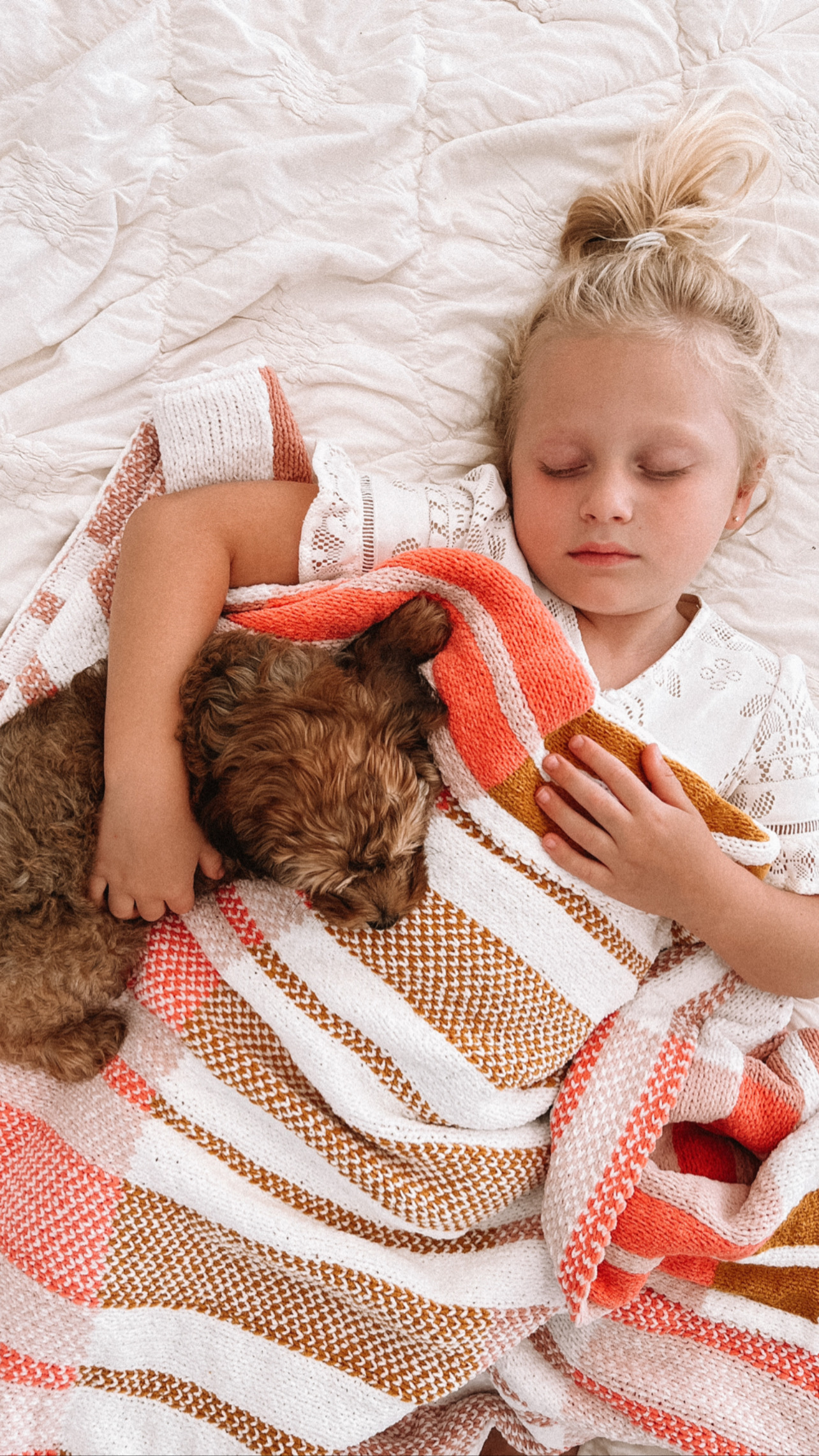 amazon pet must haves casey wiegand