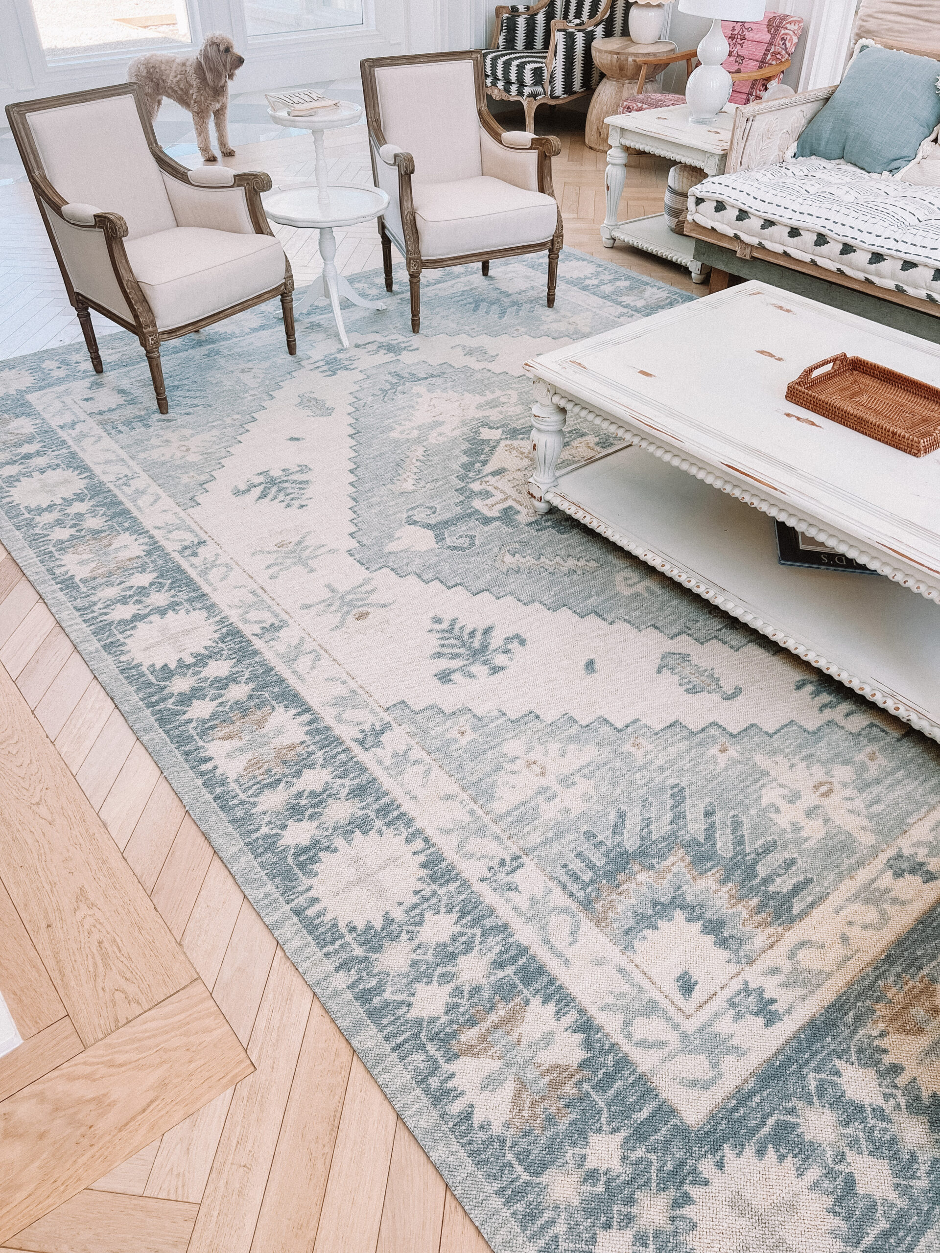 amazon rugs