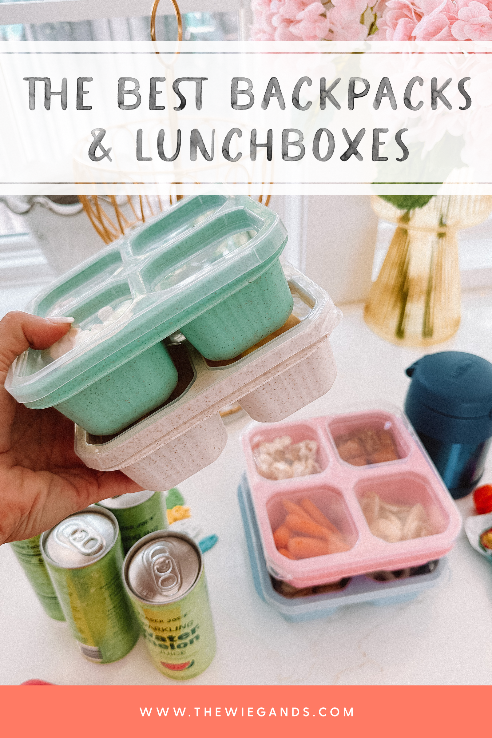 backpacks and lunchboxes