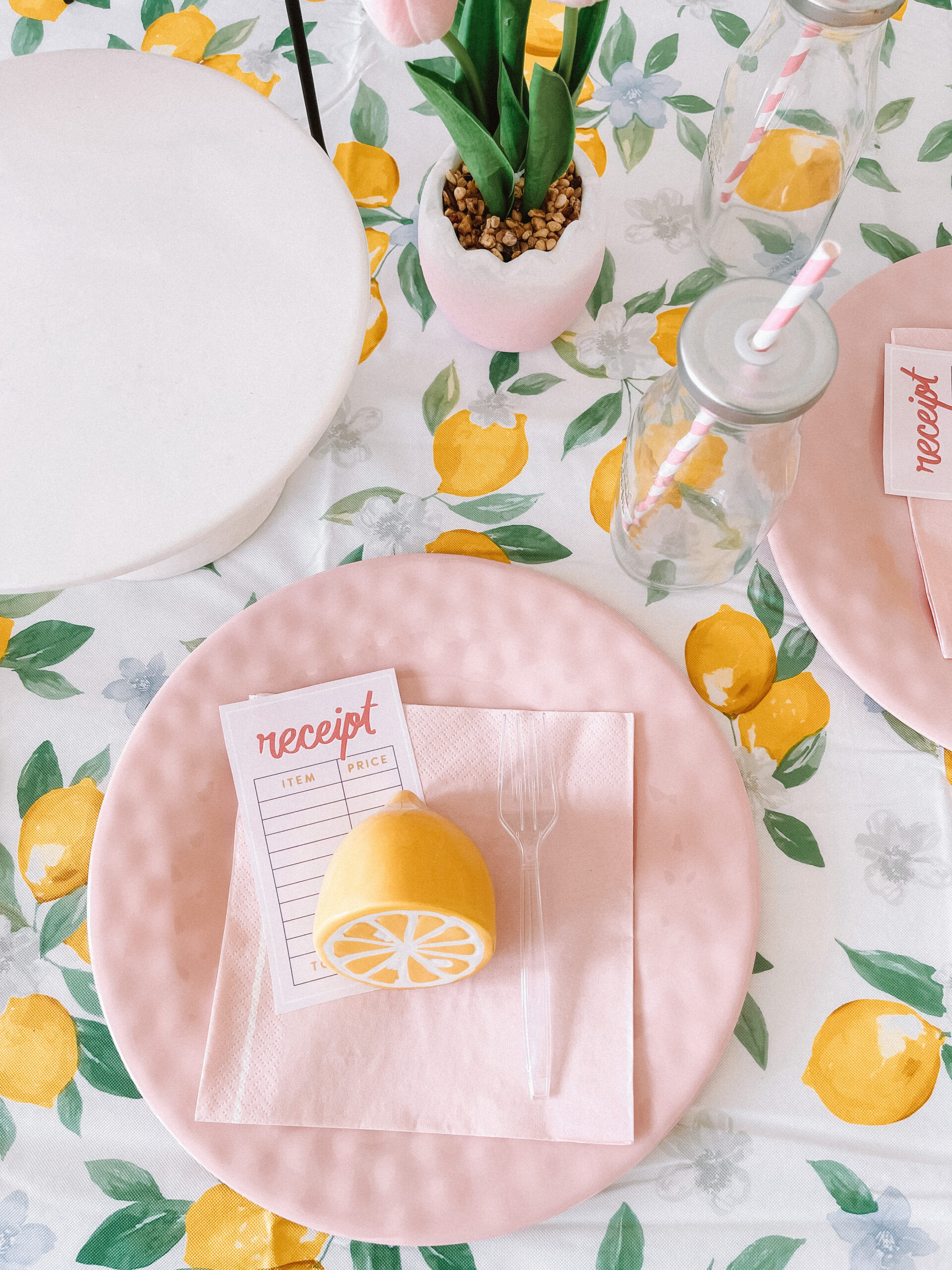 lemonade stand photo shoot 