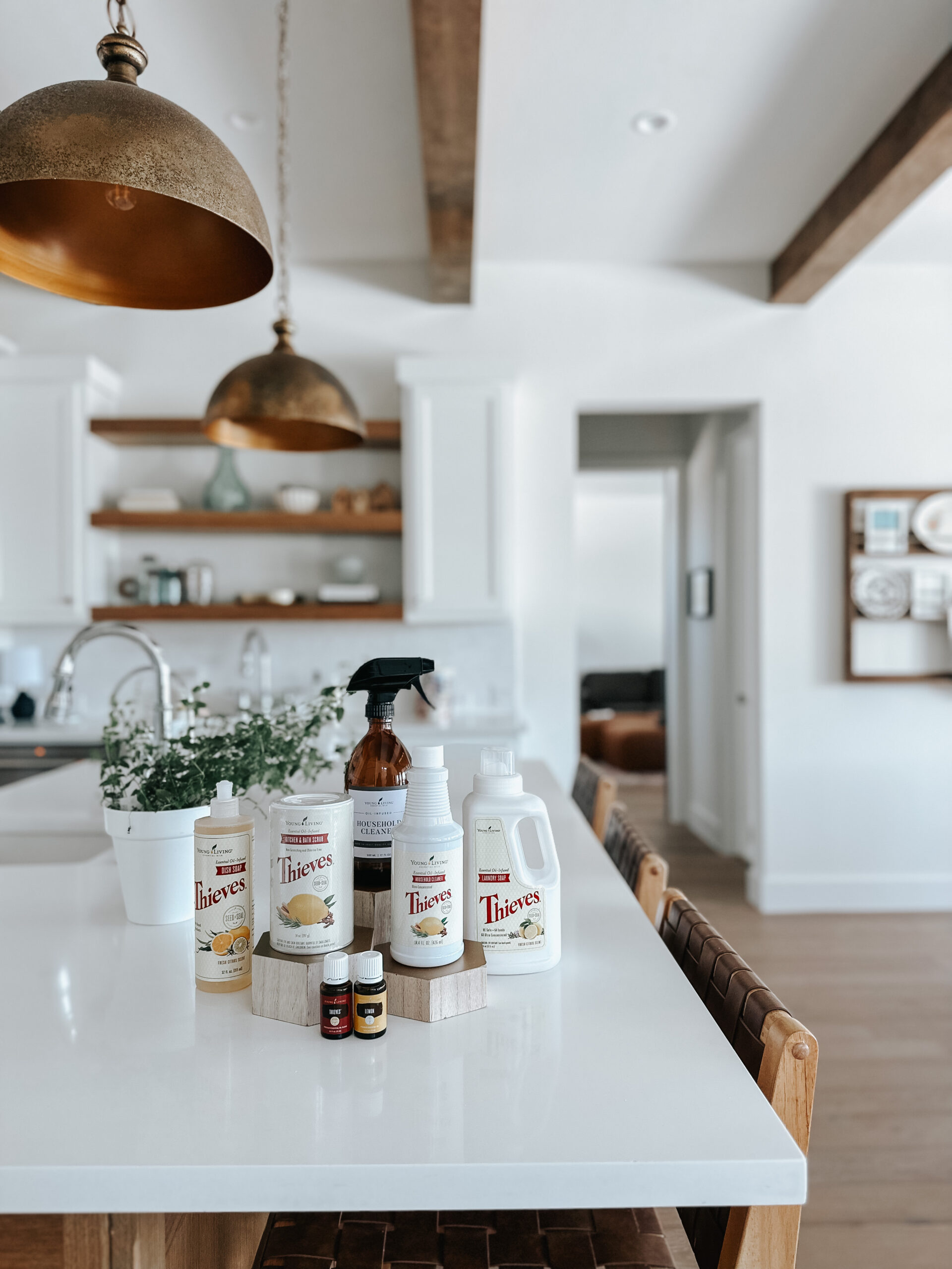 clean products organization