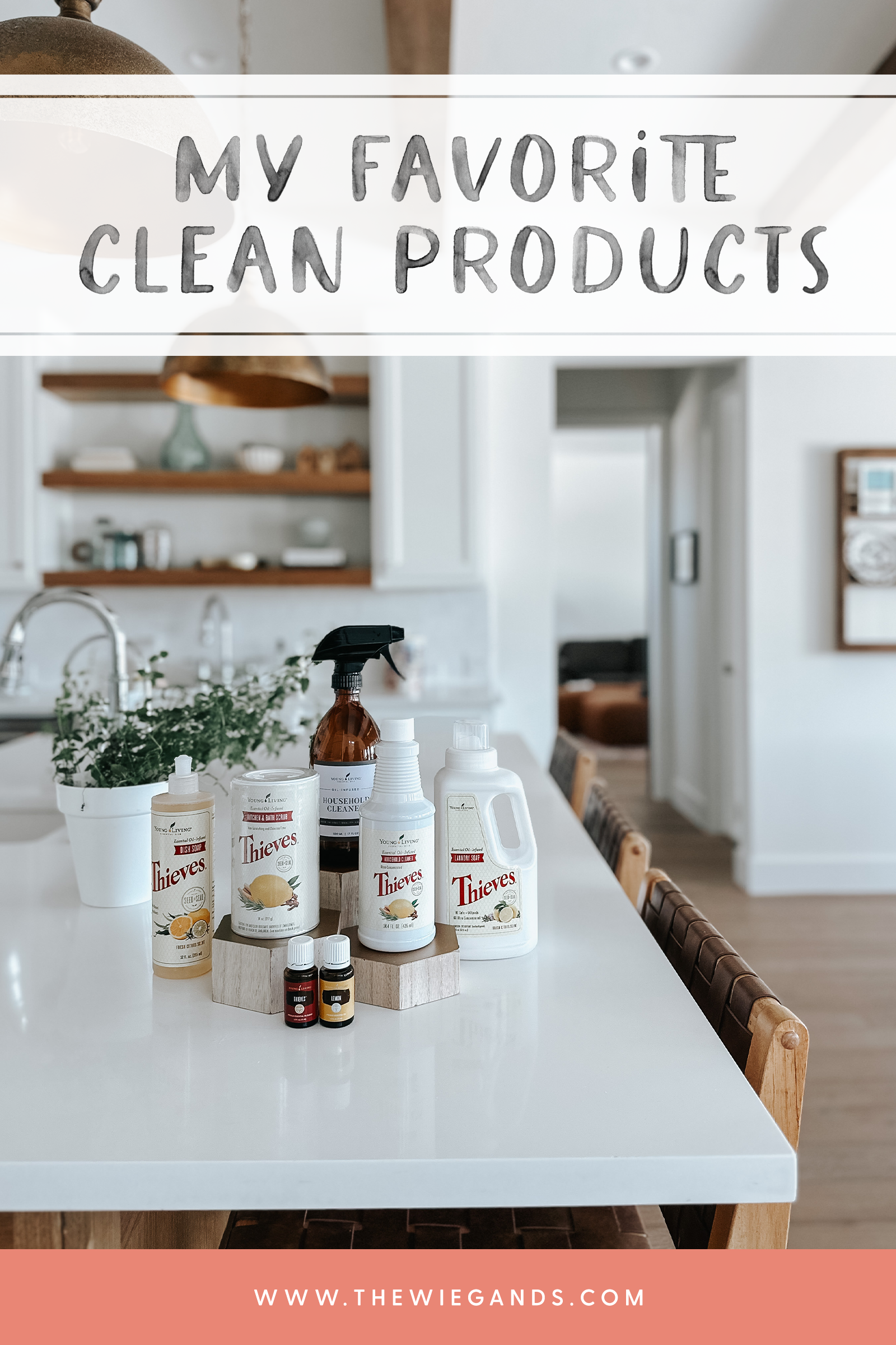 clean products pin 3
