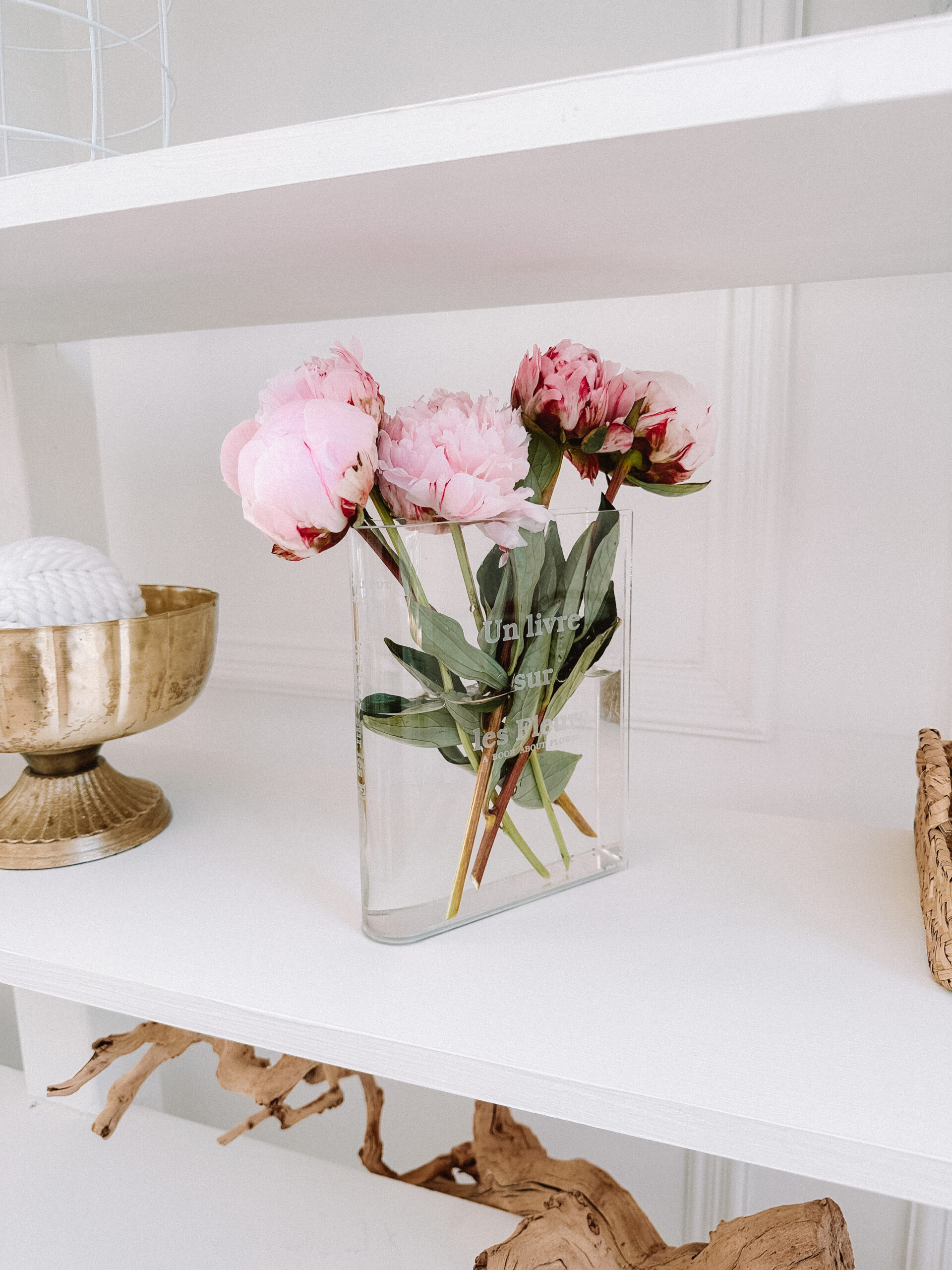 flowers aesthetic videos