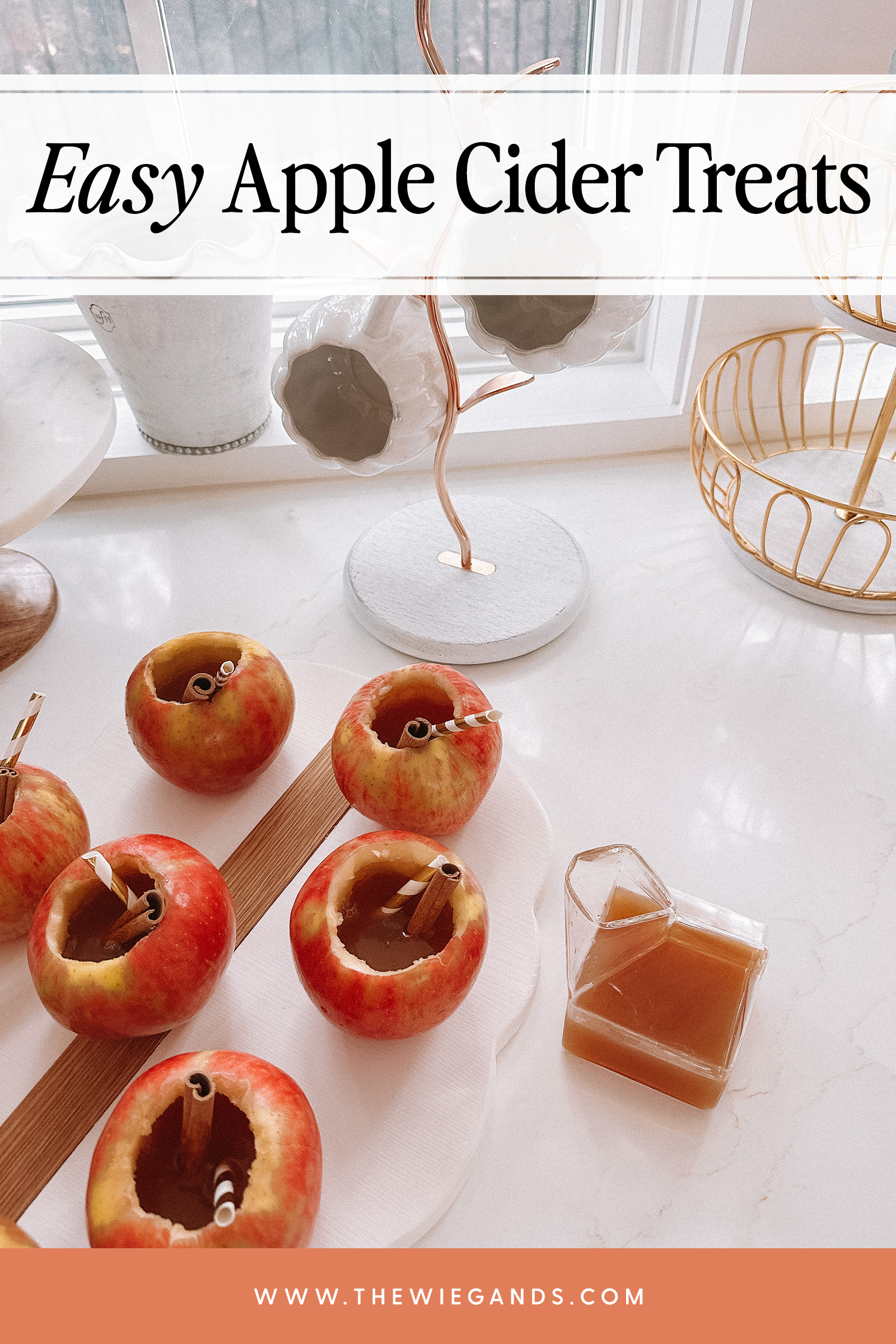 apple cider pin 3