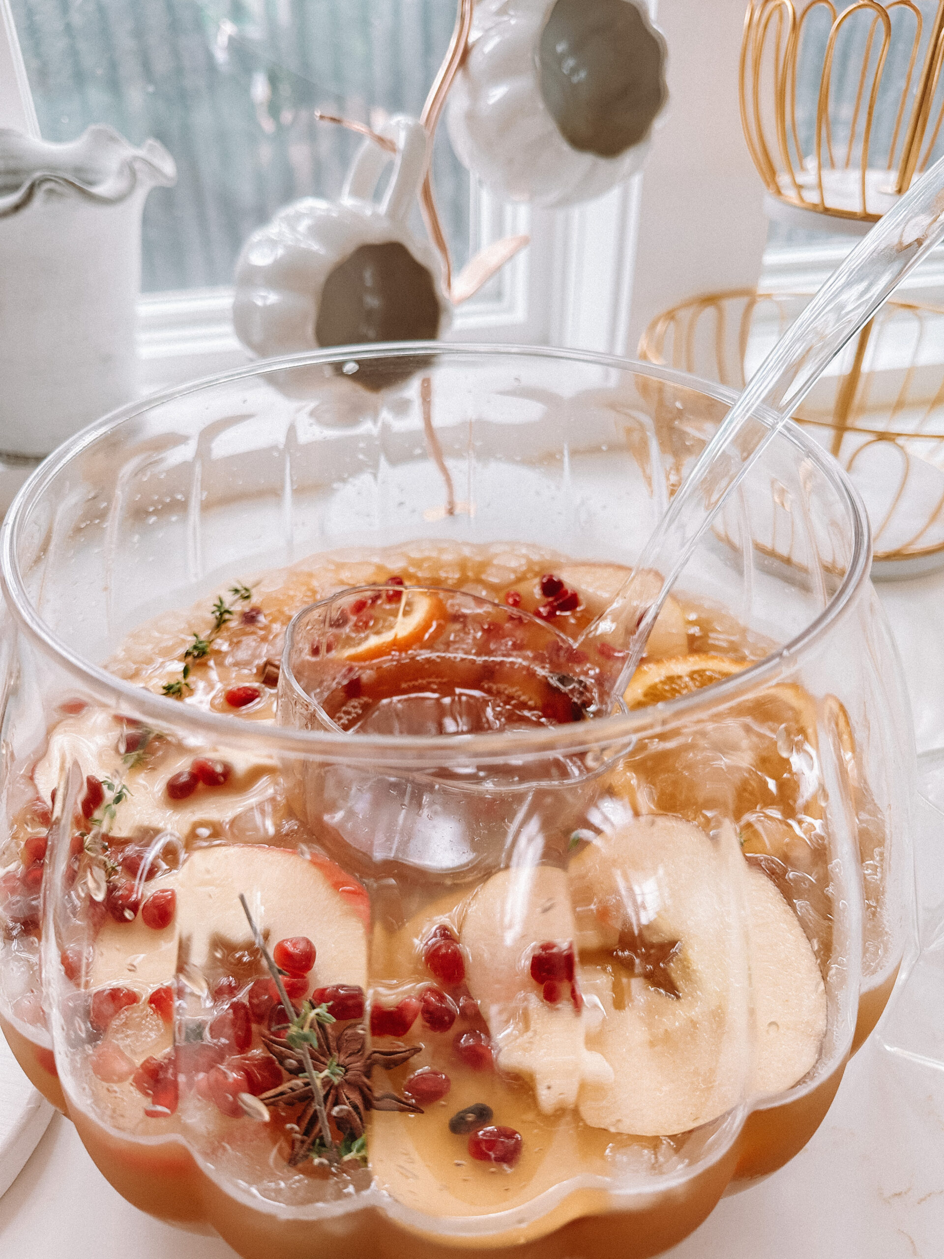 harvest apple cider punch 3