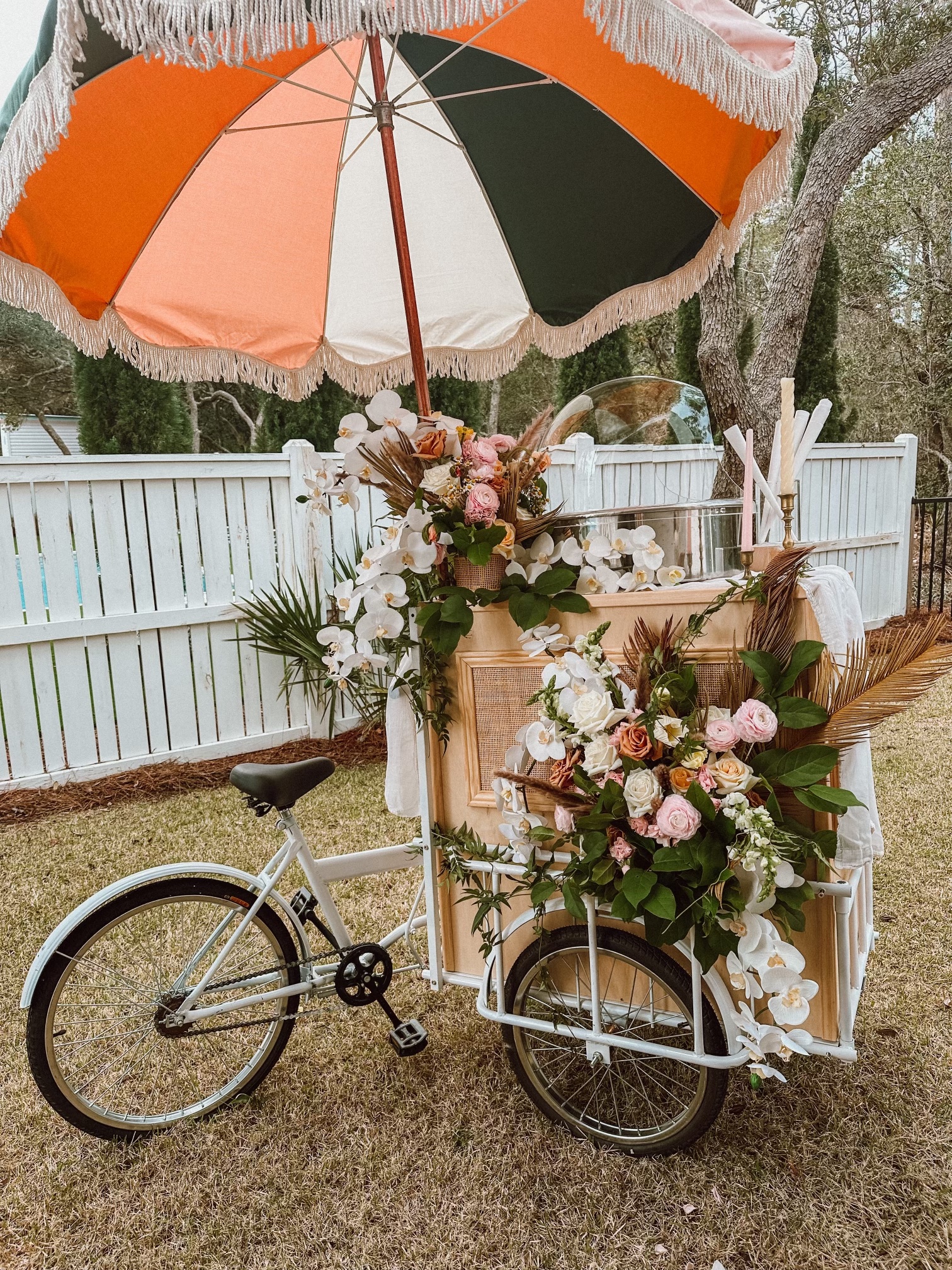 30a pedal cart 3