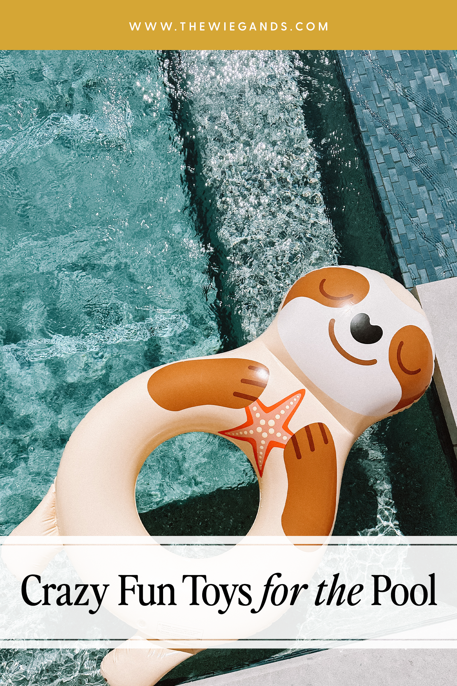 pool toys pin 3