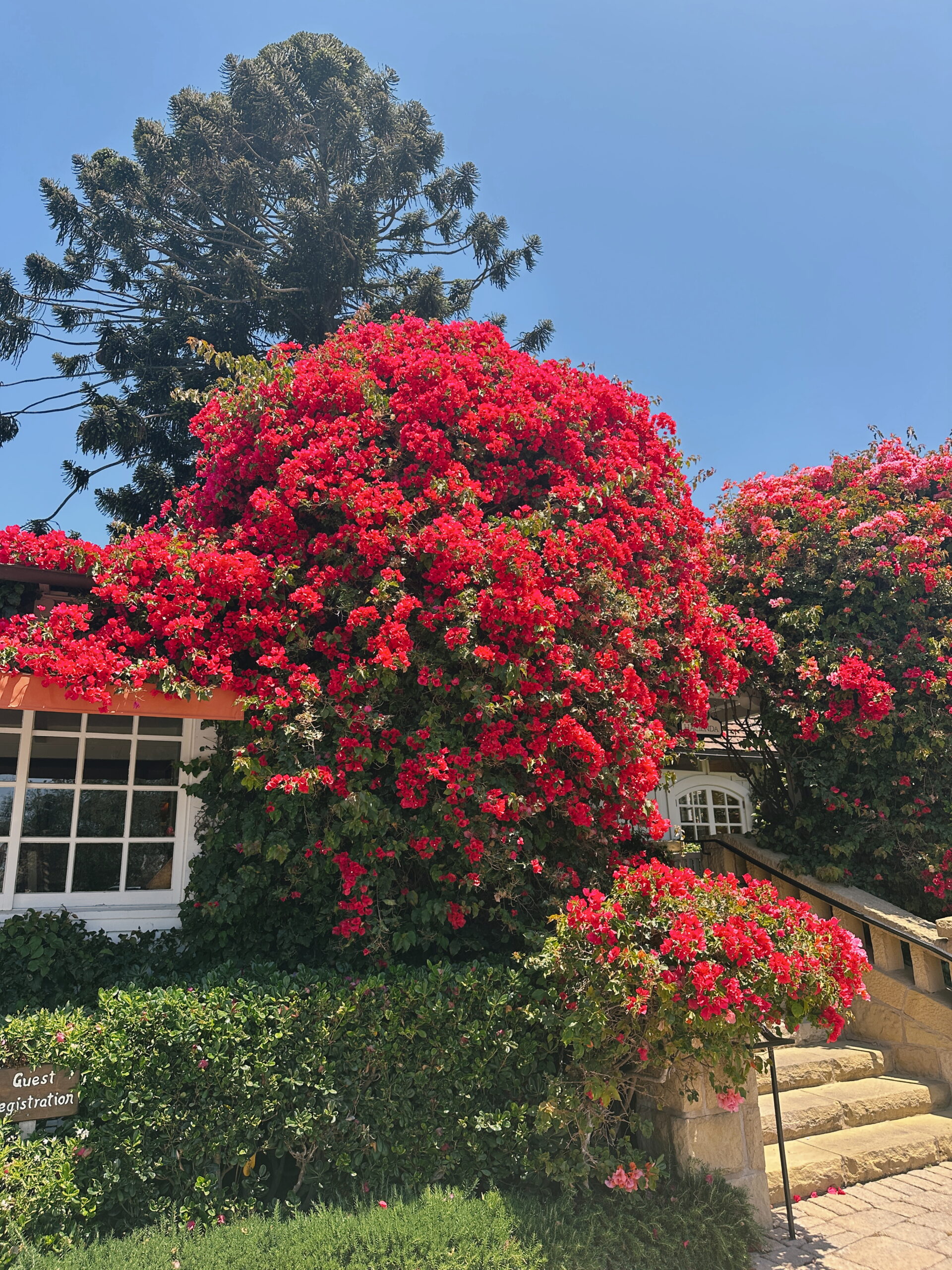 santa barbara california 